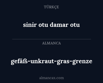 gefäß-unkraut-gras-grenze - sinir otu damar otu