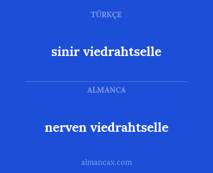 sinir viedrahtselle - nerven viedrahtselle