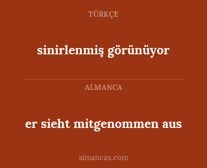 sinirlenmiş görünüyor - er sieht mitgenommen aus