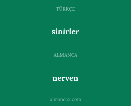 sinirler - nerven