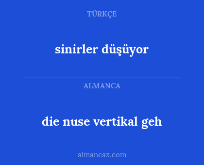 die nuse vertikal geh - sinirler düşüyor