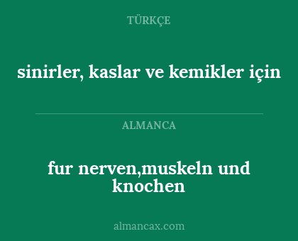 fur nerven,muskeln und knochen - sinirler, kaslar ve kemikler için
