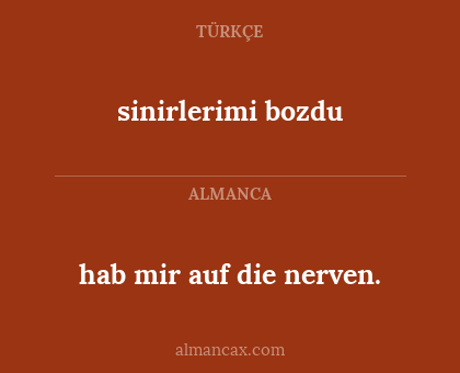 sinirlerimi bozdu - hab mir auf die nerven.