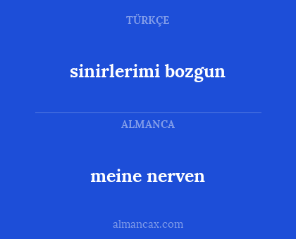 meine nerven - sinirlerimi bozgun