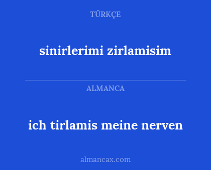 sinirlerimi zirlamisim - ich tirlamis meine nerven