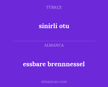 essbare brennnessel - sinirli otu