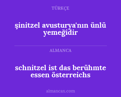 schnitzel ist das berühmte essen österreichs - şinitzel avusturya'nın ünlü yemeğidir