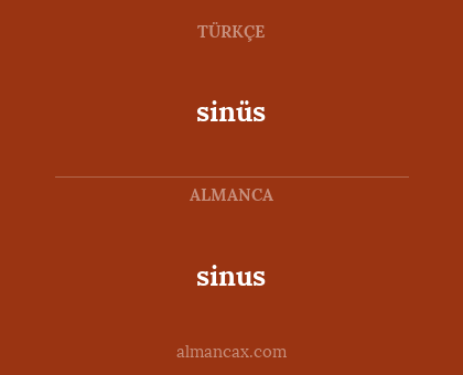 sinüs - sinus