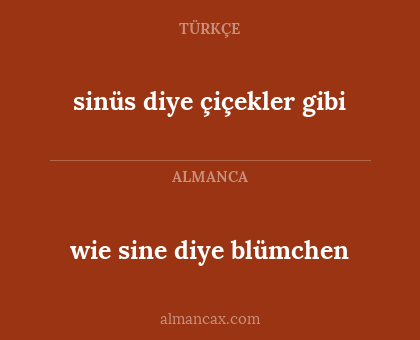 wie sine diye blümchen - sinüs diye çiçekler gibi