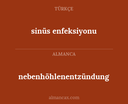sinüs enfeksiyonu - nebenhöhlenentzündung