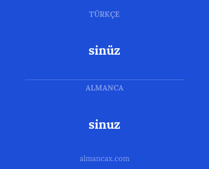 sinuz - sinüz