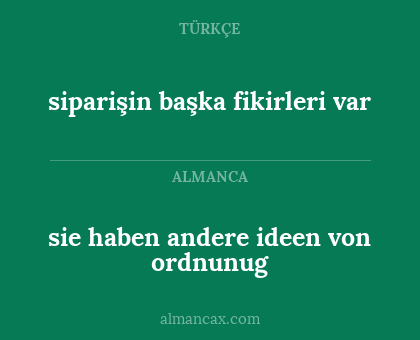 sie haben andere ideen von ordnunug - siparişin başka fikirleri var