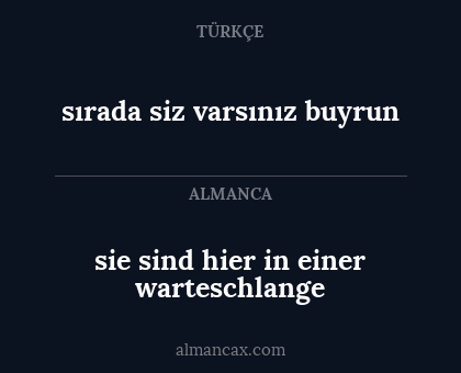 sie sind hier in einer warteschlange - sırada siz varsınız buyrun