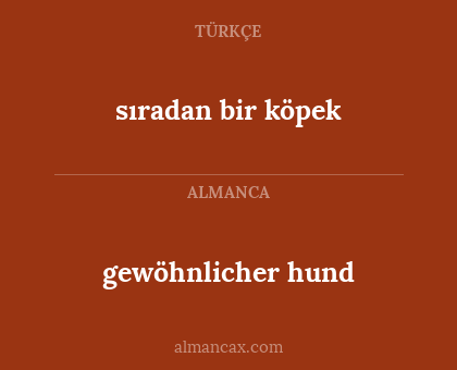 sıradan bir köpek - gewöhnlicher hund