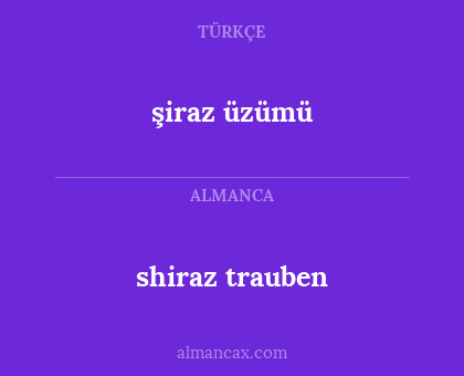 shiraz trauben - şiraz üzümü