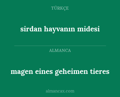 sirdan hayvanın midesi - magen eines geheimen tieres