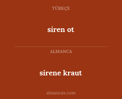 sirene kraut - siren ot