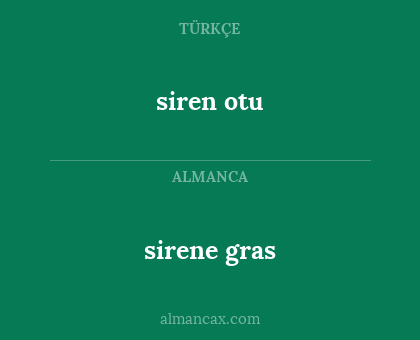 sirene gras - siren otu