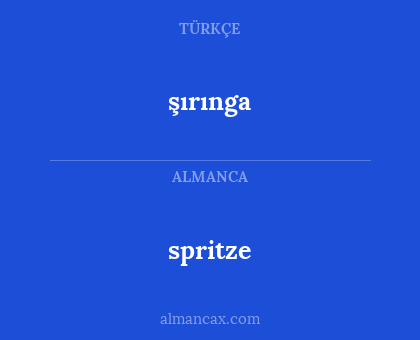 şırınga - spritze