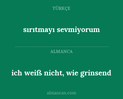 sırıtmayı sevmiyorum - ich weiß nicht, wie grinsend