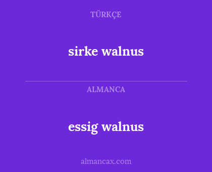 sirke walnus - essig walnus
