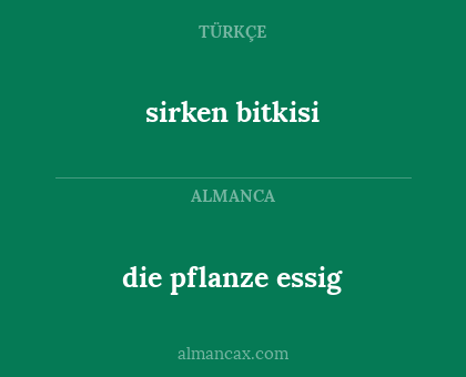 die pflanze essig - sirken bitkisi
