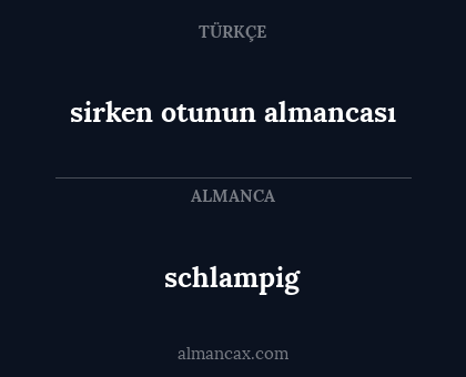 sirken otunun almancası - schlampig