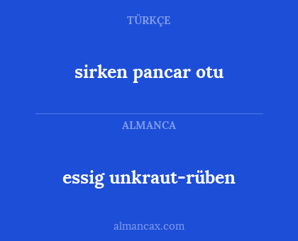 essig unkraut-rüben - sirken pancar otu