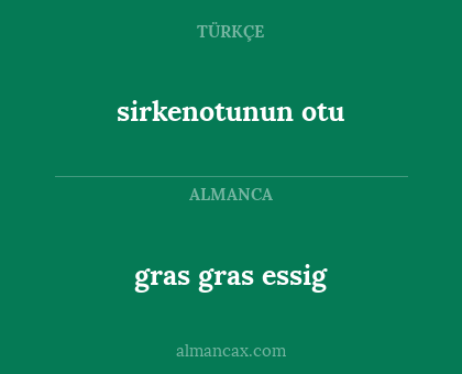 gras gras essig - sirkenotunun otu