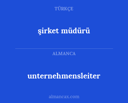 unternehmensleiter - şirket müdürü