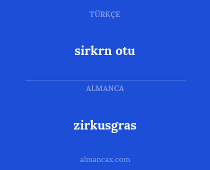 sirkrn otu - zirkusgras