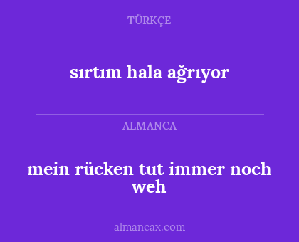 mein rücken tut immer noch weh - sırtım hala ağrıyor
