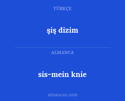 şiş dizim - sis-mein knie