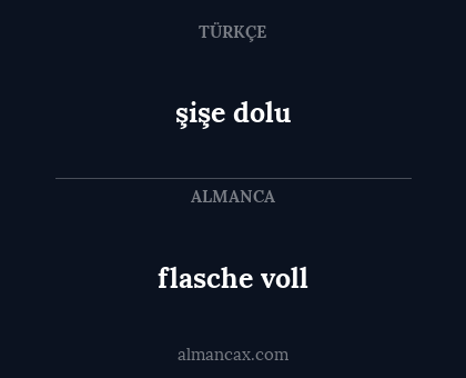 şişe dolu - flasche voll