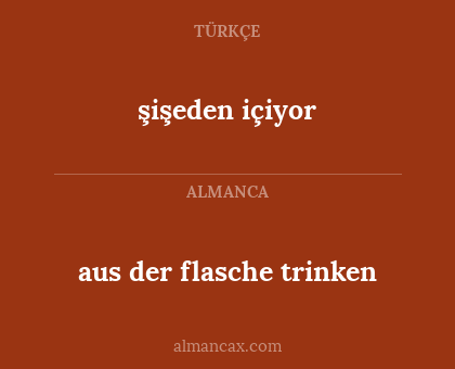 şişeden içiyor - aus der flasche trinken