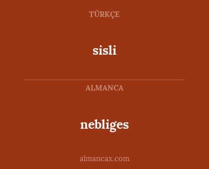 sisli - nebliges