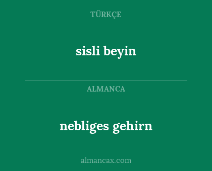 nebliges gehirn - sisli beyin
