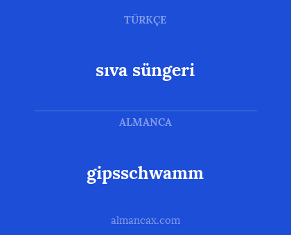 gipsschwamm - sıva süngeri