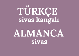 sivas+kangal%C4%B1-sivas-spule.png