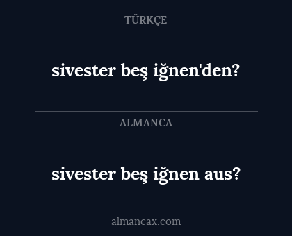 sivester beş iğnen aus? - sivester beş iğnen'den?