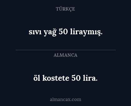 öl kostete 50 lira. - sıvı yağ 50 liraymış.