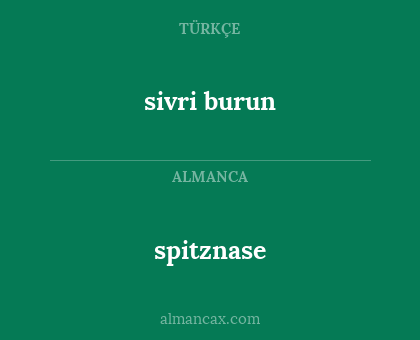 spitznase - sivri burun