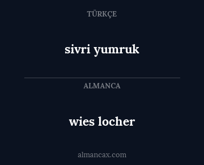 wies locher - sivri yumruk