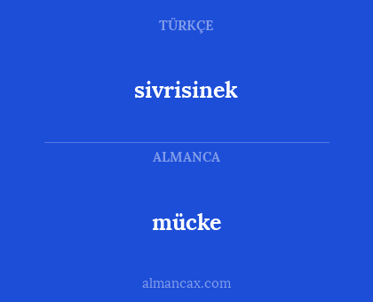 mücke - sivrisinek
