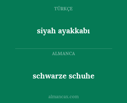 schwarze schuhe - siyah ayakkabı