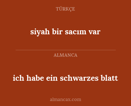 ich habe ein schwarzes blatt - siyah bir sacım var