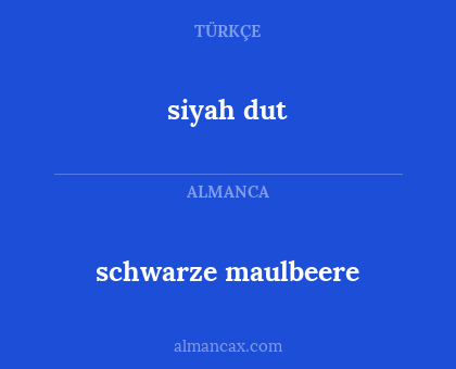 siyah dut - schwarze maulbeere