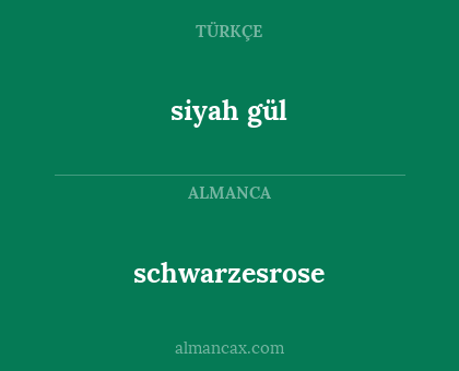 schwarzesrose - siyah gül