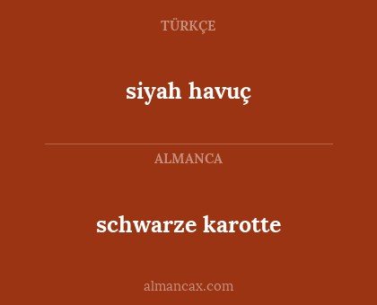 schwarze karotte - siyah havuç
