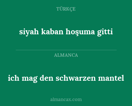 siyah kaban hoşuma gitti - ich mag den schwarzen mantel